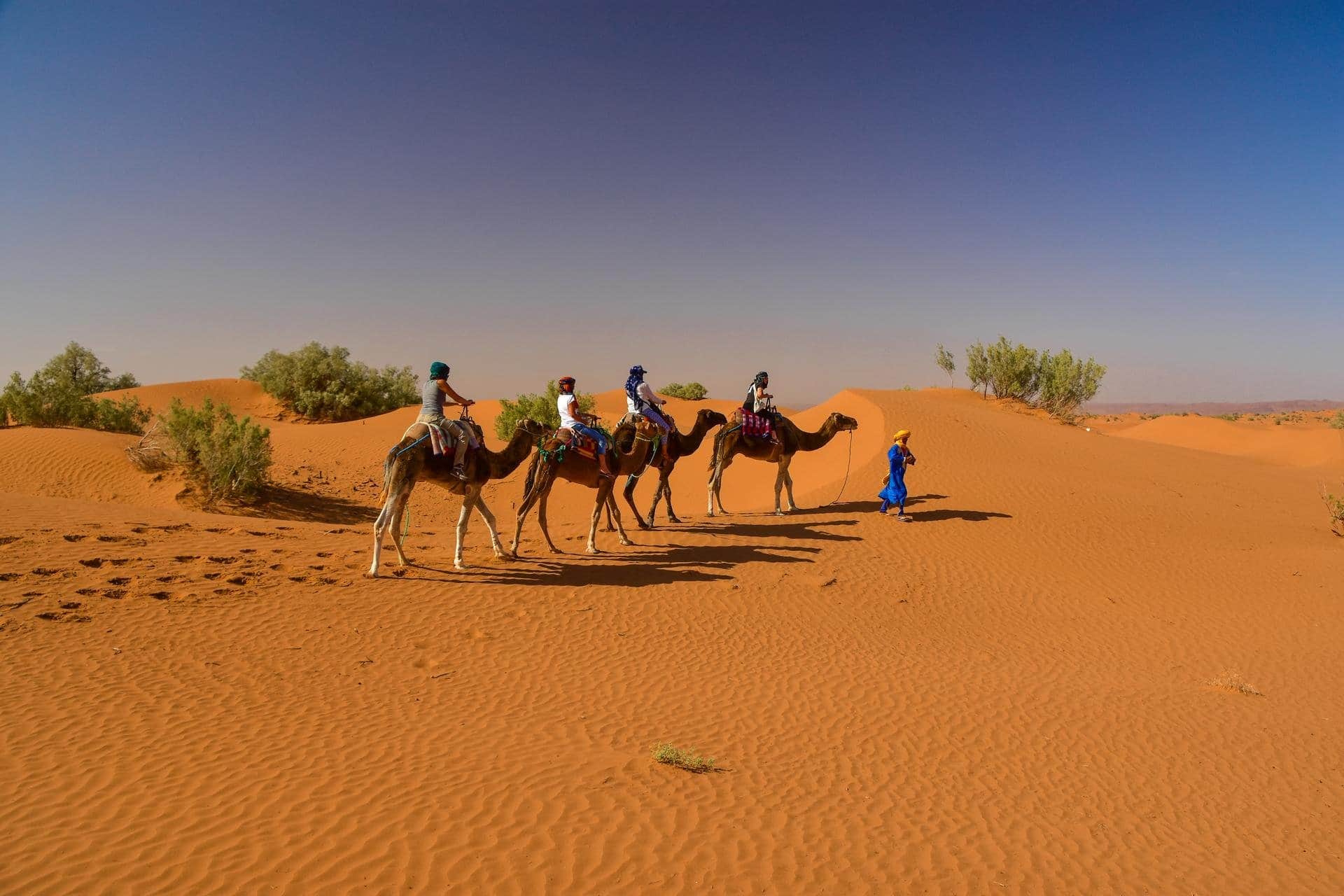 Zagora